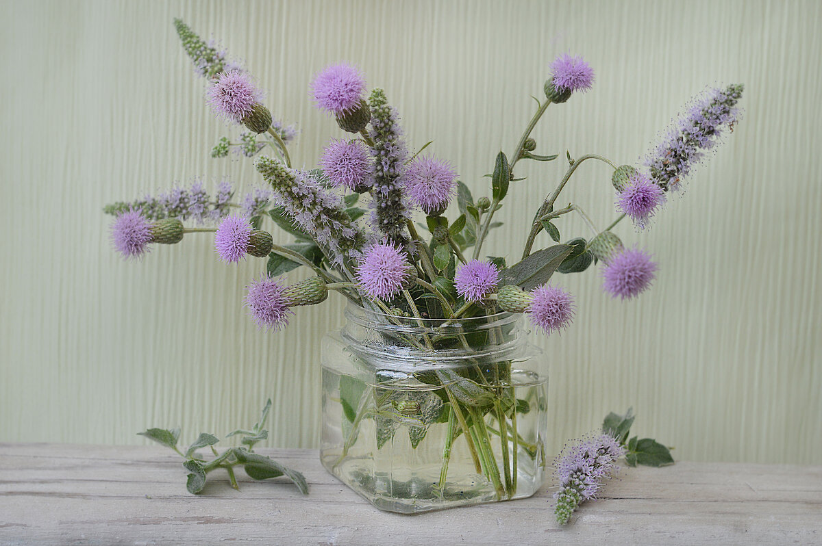 Полевые цветы...осот...мята... - Надежда Куркина 