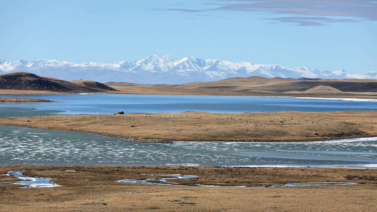 *** - владимир 