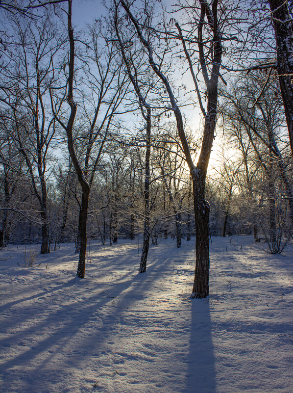 Зима. - Александр. AVG100 ---