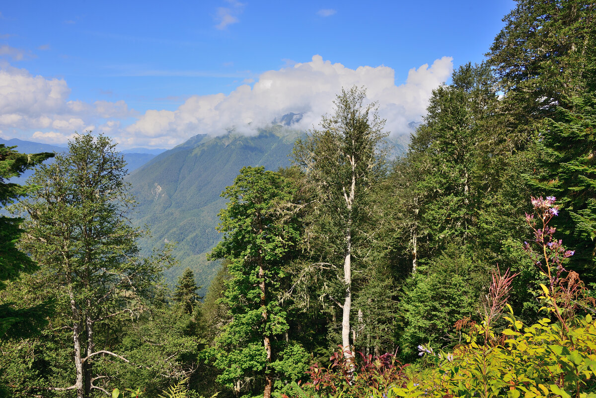 ** - Александр Хаецкий
