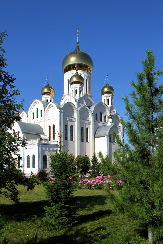 ** - Vlad Сергиевич