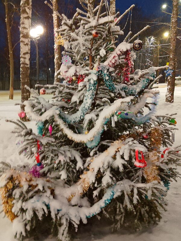 Елочка Новогодняя в сквере - Наталья Куликова