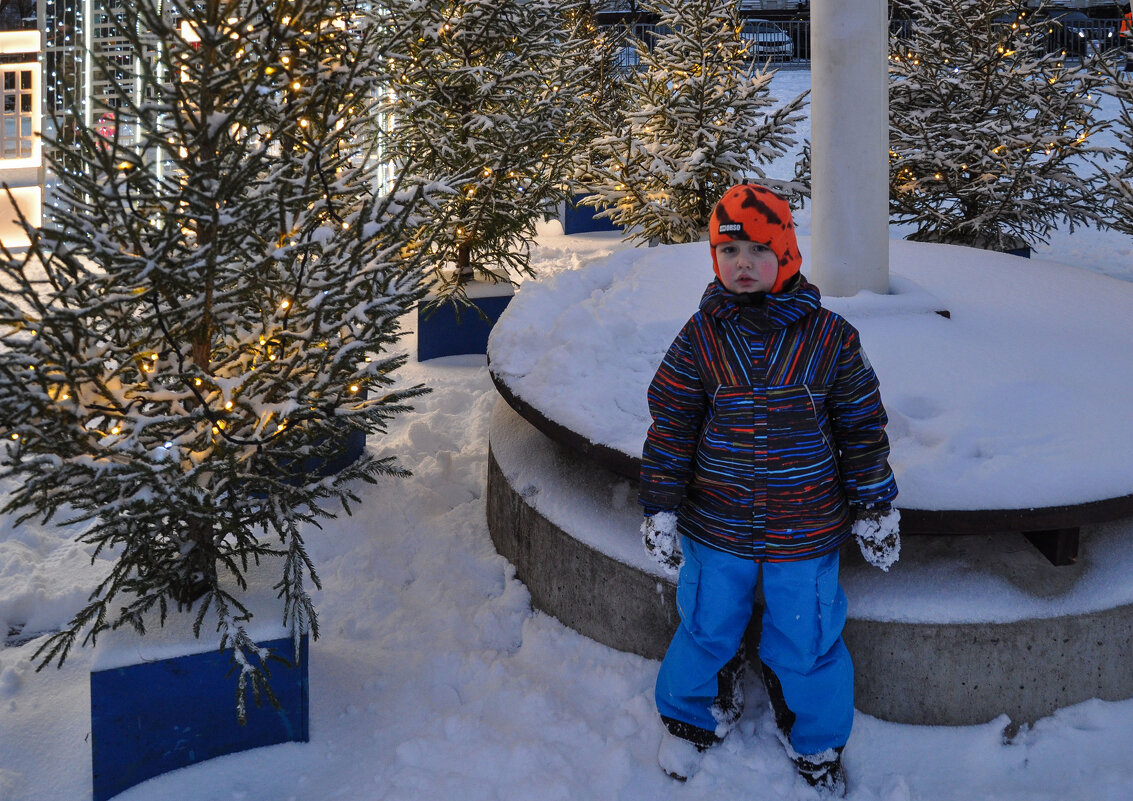 Снег и ёлки - подарок к Новому году - Татьяна Машошина