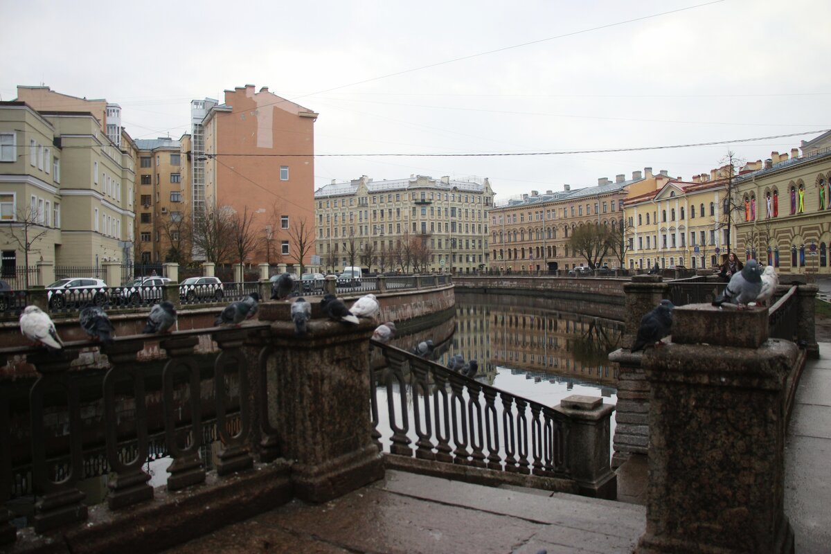 Зима 2025. Декабрь - Наталья Герасимова