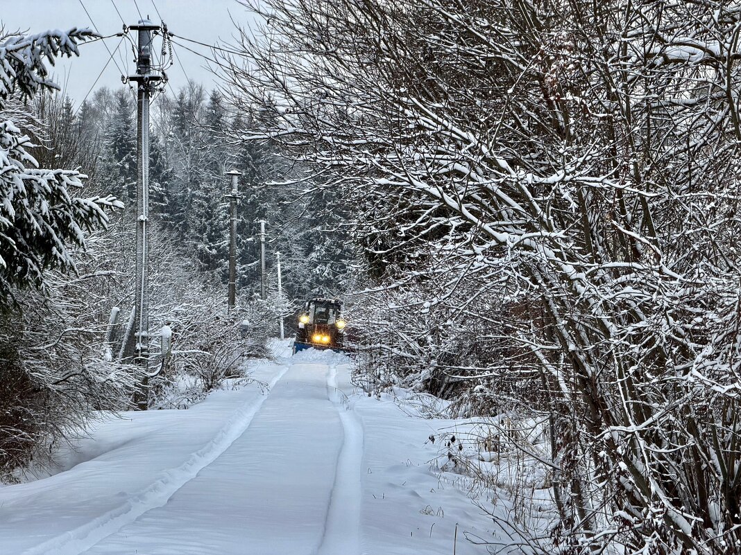 Дачная зарисовка - Любовь 