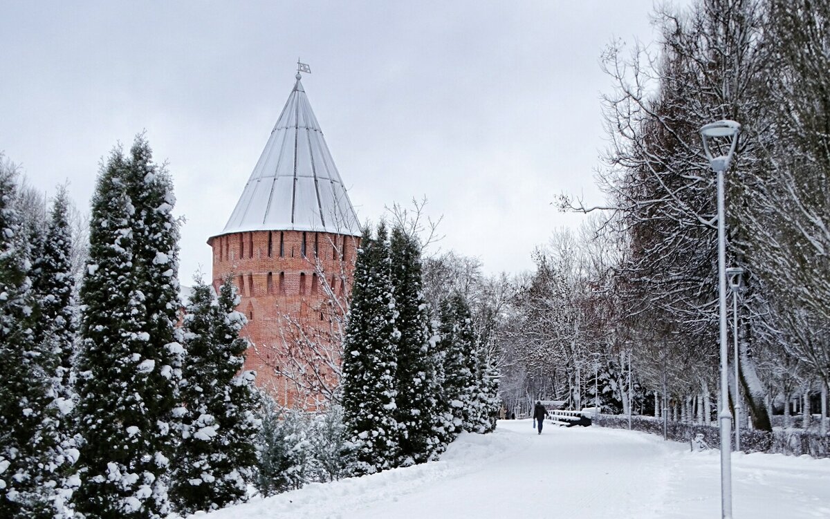 Зимний город. - Милешкин Владимир Алексеевич 