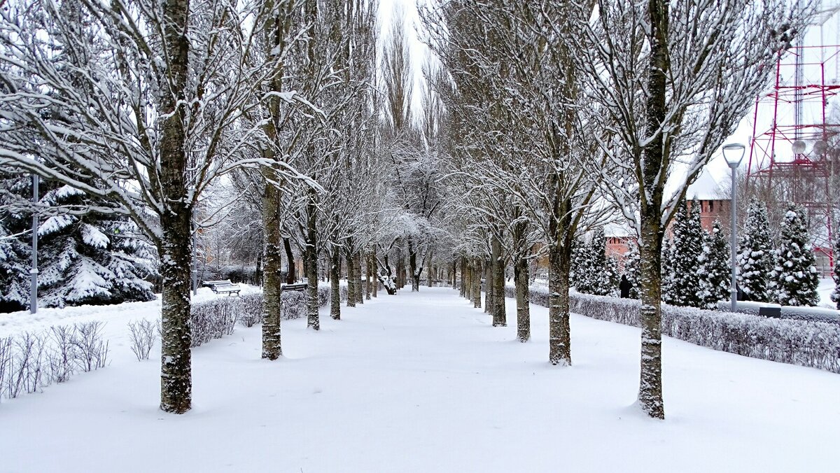 Зимний город. - Милешкин Владимир Алексеевич 