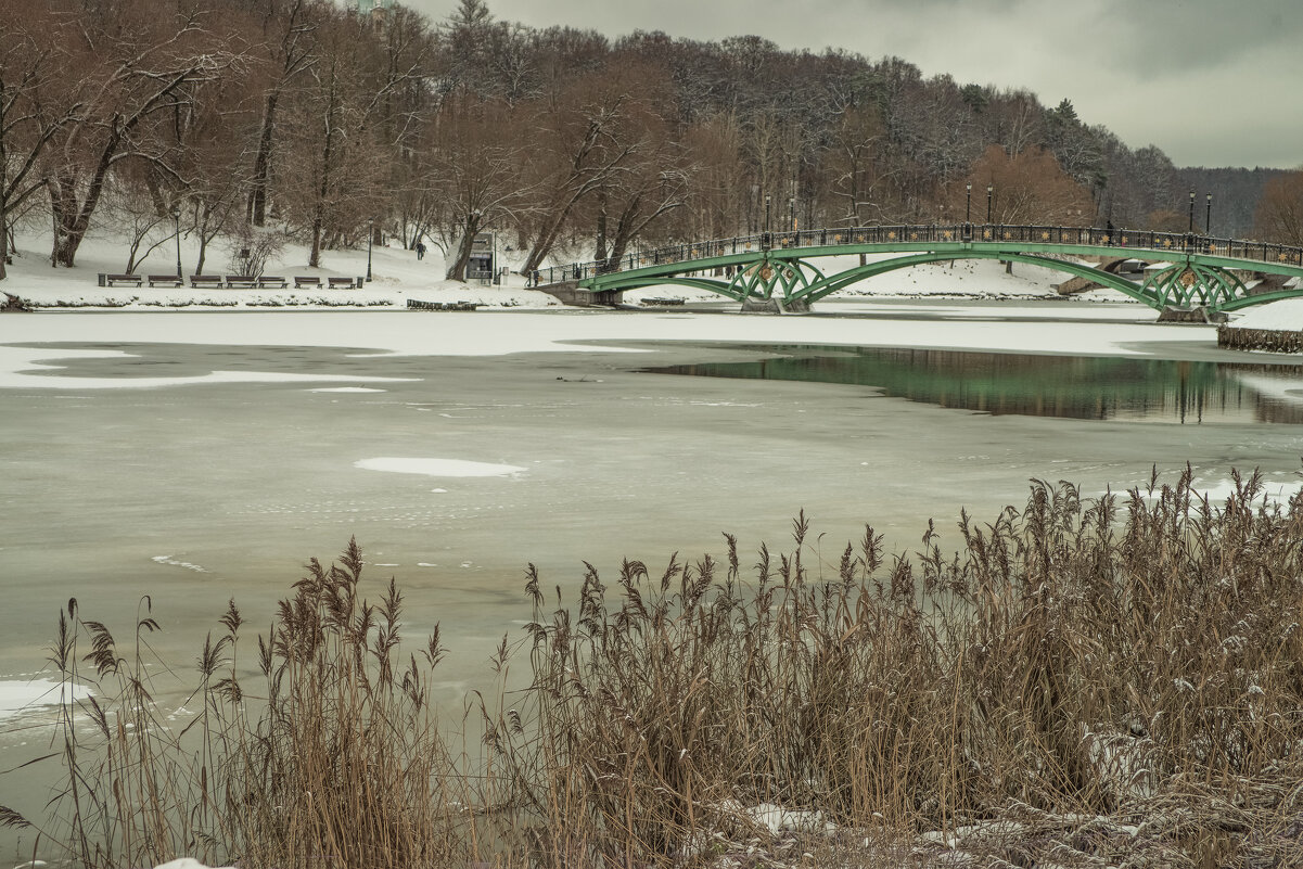 Самые короткие дни. - Николай 