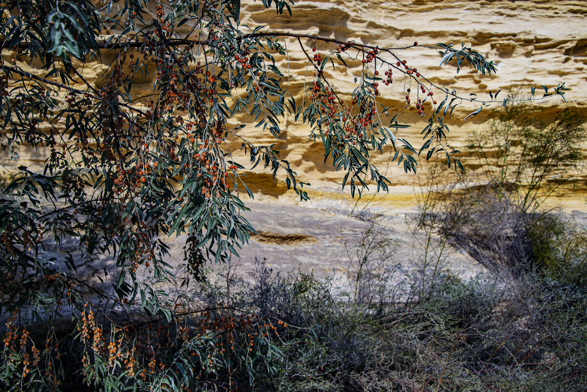 Берег - Анатолий Чикчирный Берег - Анатолий Чикчирный