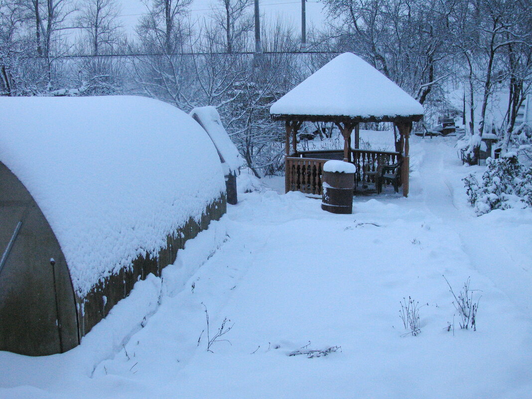 Засыпало сад - Людмила Смородинская