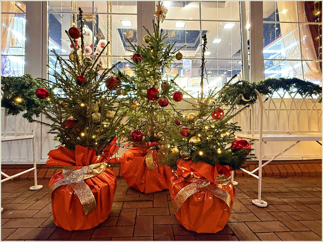 Новогоднее...Светлогорское. - Валерия Комова Новогоднее...Светлогорское. - Валерия Комова