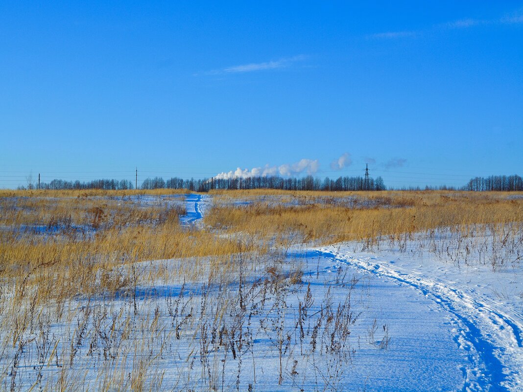 Новочебоксарск. Поле северо-западных окрестностей города зимой. - Пётр Чернега Новочебоксарск. Поле северо-западных окрестностей города зимой. - Пётр Чернега