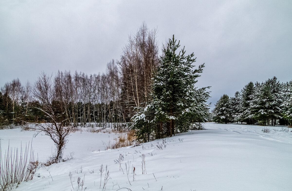 Зимние утро 3 - Андрей Дворников