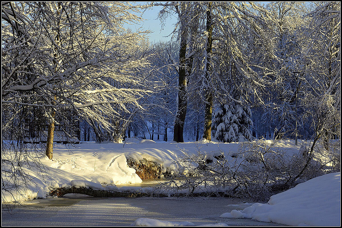 *** - Aleksandr Gal *** - Aleksandr Gal