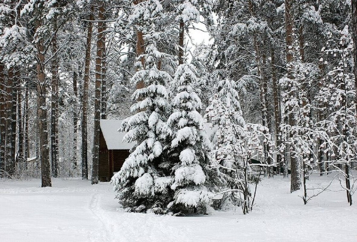 В городском парке - Галина Нестратова