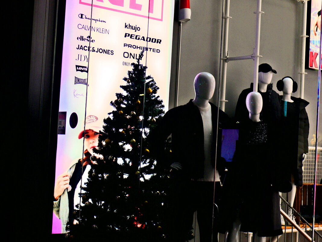 Рождество в Штутгарте - 7 - Алексей Кузнецов