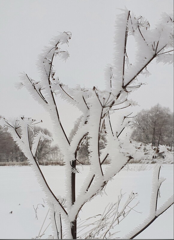 Иней - Михаил Свиденцов
