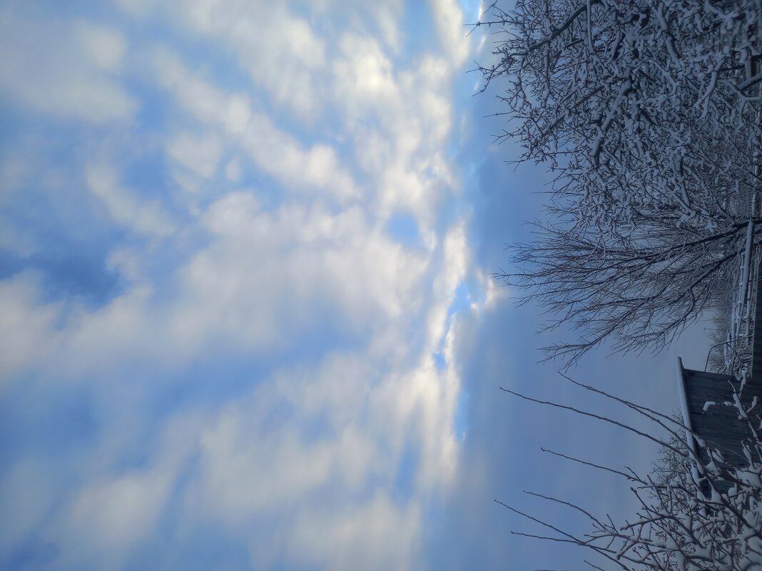 Утренние небо - Алексей Т