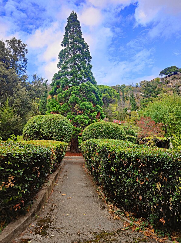 Архитектурно-парковый комплекс Юсуповского дворца в посёлке Кореиз. - Виктор Мухин