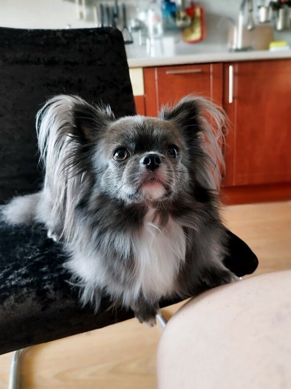 Федя - Евгений Васильев