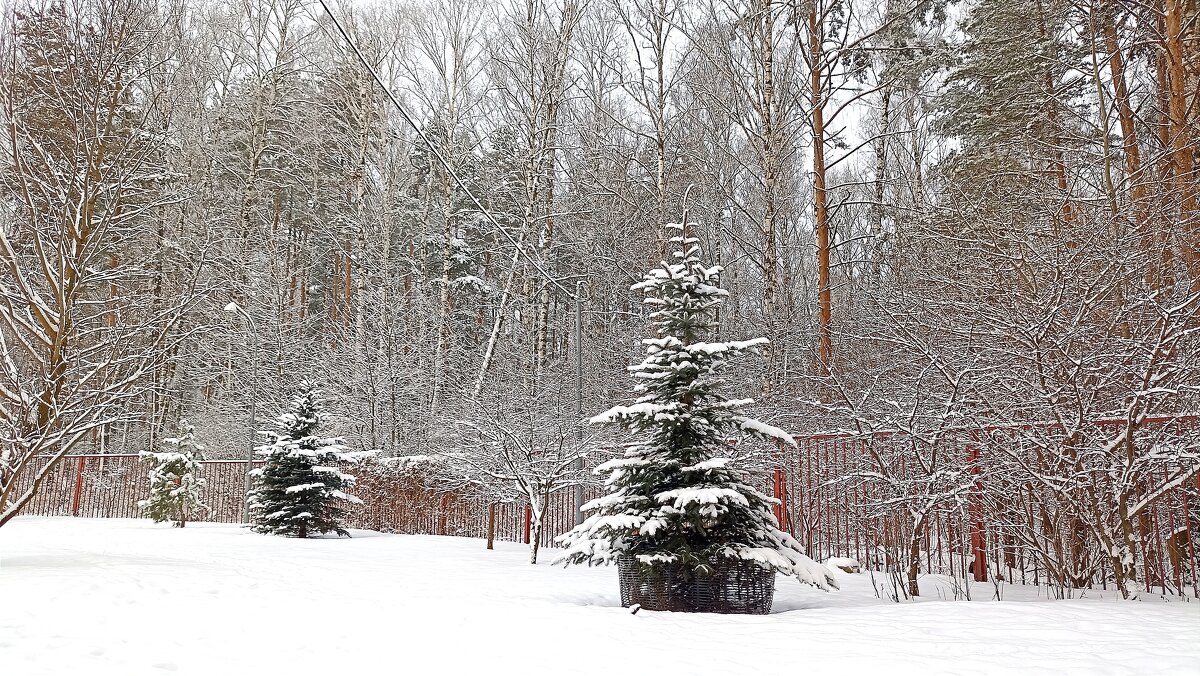 А за городом зима... - Татьяна Тюменка А за городом зима... - Татьяна Тюменка