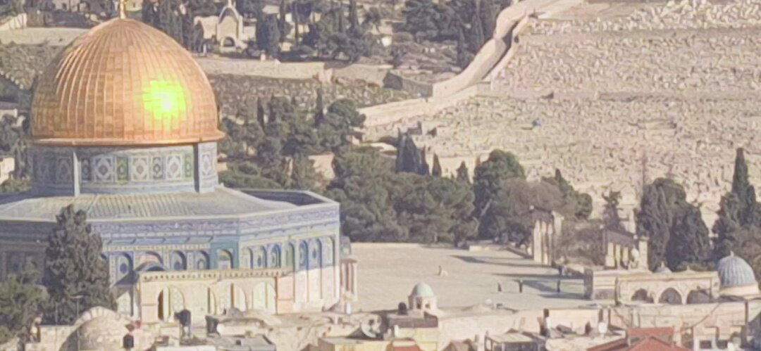 13  ОПЕН (782) - OPEN WAYS ALL