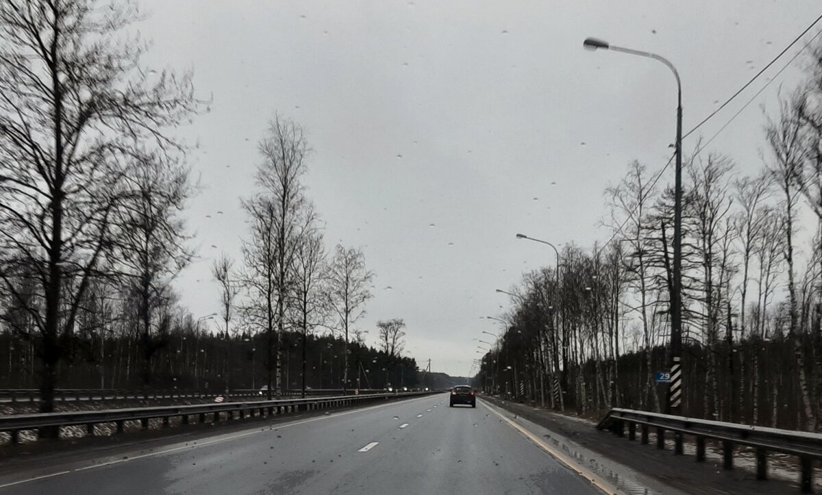 Зима 2025. Декабрь - Наталья Герасимова