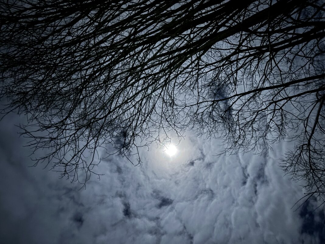 Светит месяц… - Ольга Савельева Светит месяц… - Ольга Савельева