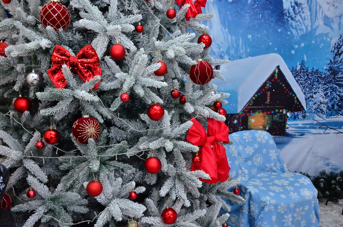 Ёлки 2 ... Продолжение - александр донченко Ёлки 2 ... Продолжение - александр донченко