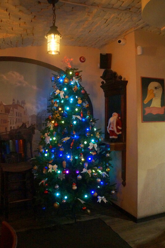 чешская пивница "Подстреленная гусыня" - zavitok * чешская пивница "Подстреленная гусыня" - zavitok *