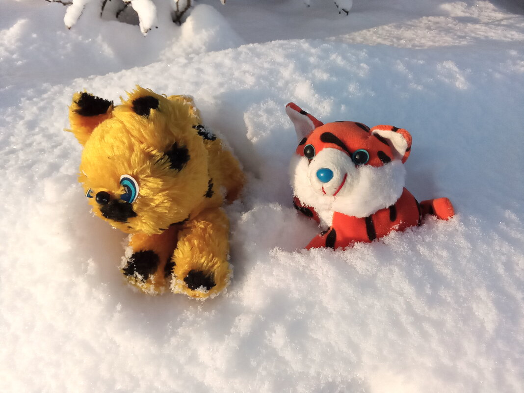 Я на солнышко гляжу - Фотогруппа Весна