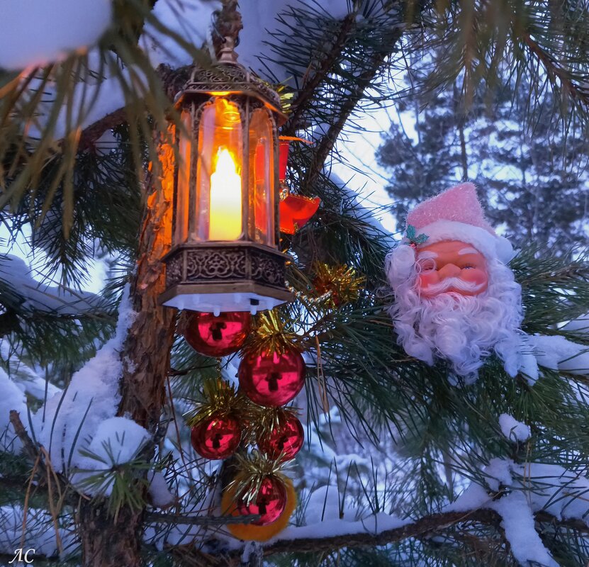 *** - Любовь Сахарова