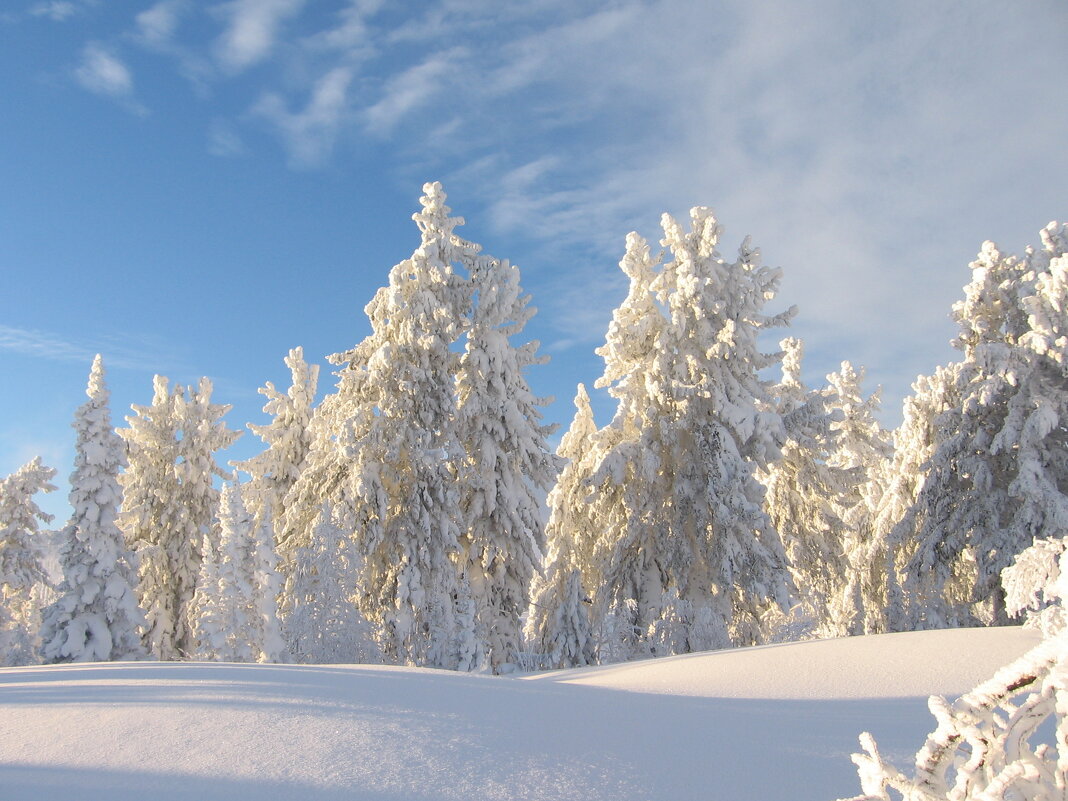 Предновогоднее путешествие - Галина Нестратова