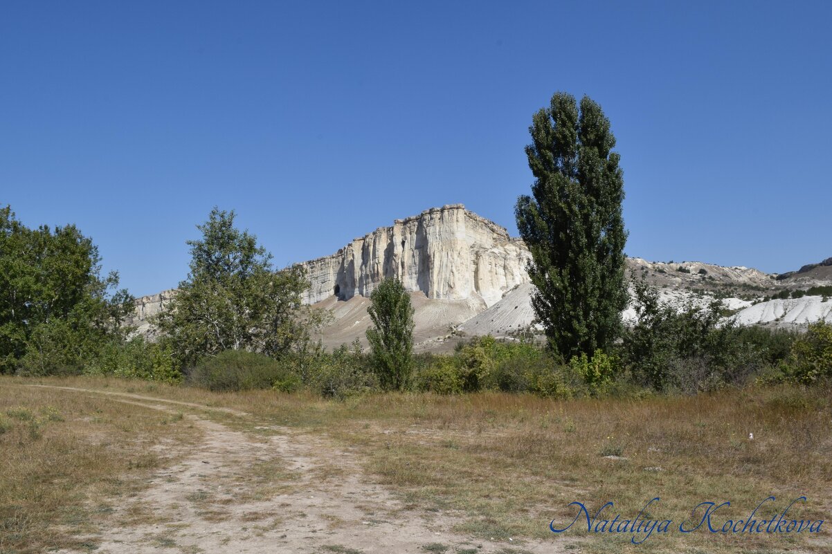 Природа Крыма - Amazing Cosmea