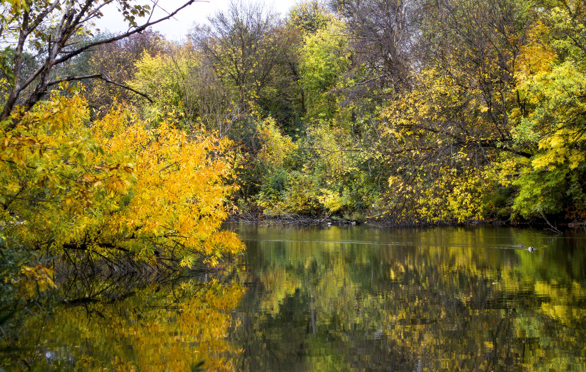 Jctym/ - Александр. AVG100 ---