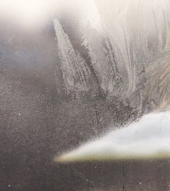 На "крыше" выросли "ёлки" :) - Юрий Куликов