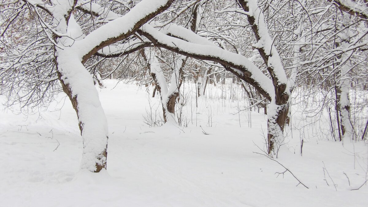 "Выход в белое" - Макс Орлов