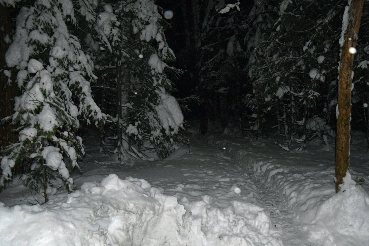 С Новым Годом, други! - ВикТор Быстров