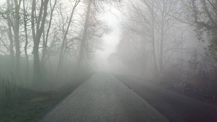 НОВОГОДНИЙ СОЧИ. - Tata Wolf