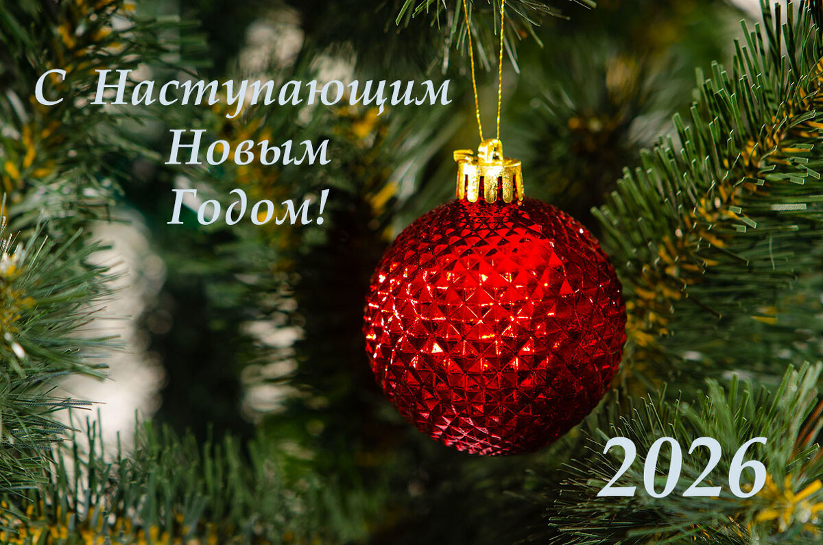 С Новым годом! - Римма Волченко