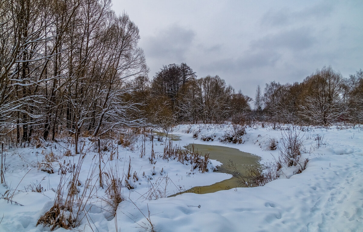 Перед новым годом - Андрей Дворников