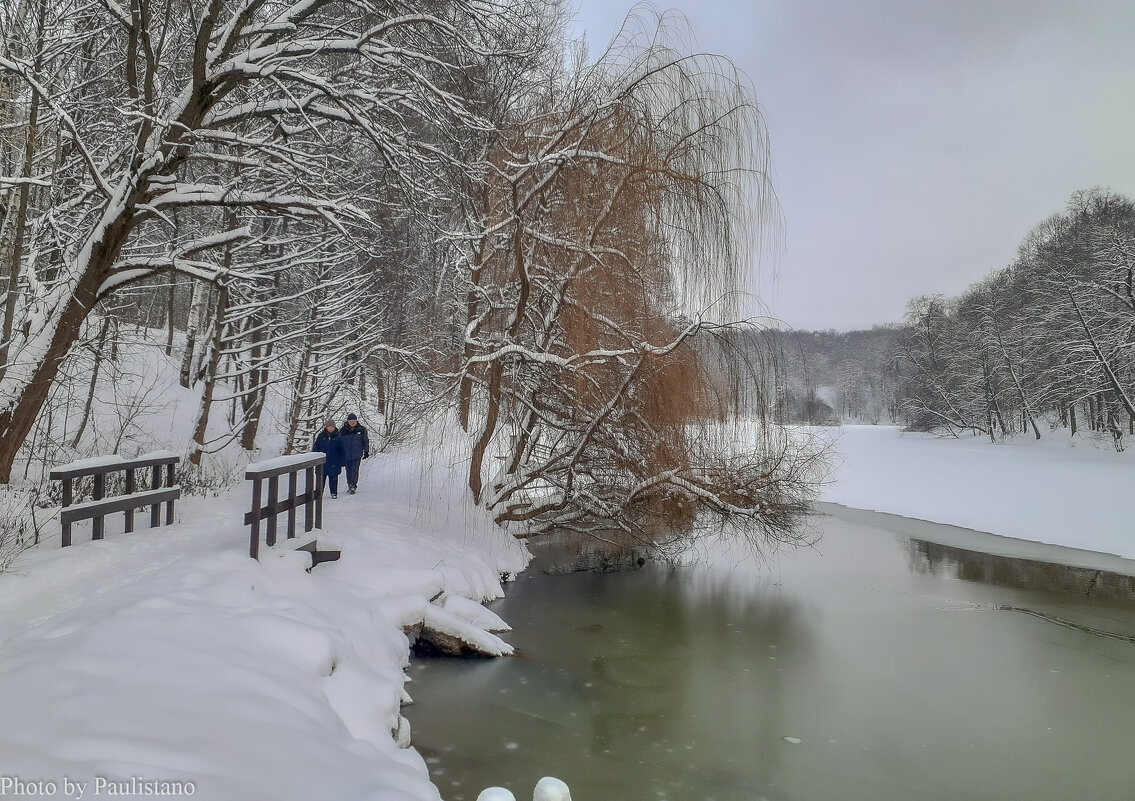 С наступающим Новым годом, друзья! - Владимир Жданов