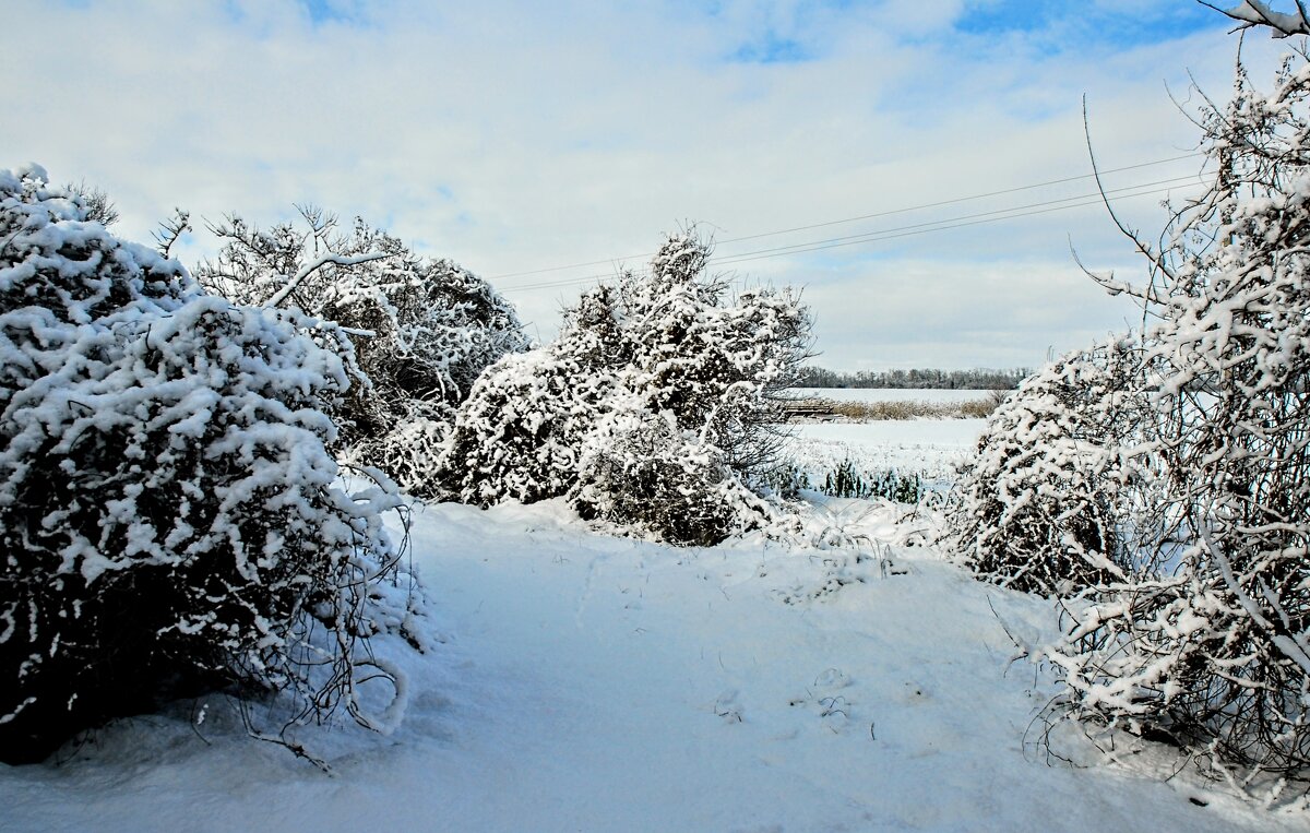 Последний день декабря. - Владимир 