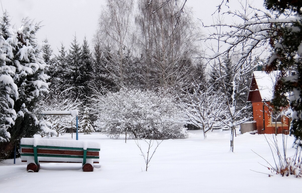 Зимний сад, белым сном деpевья спят, но им, как нам, цветные снятся сны. - Люба 