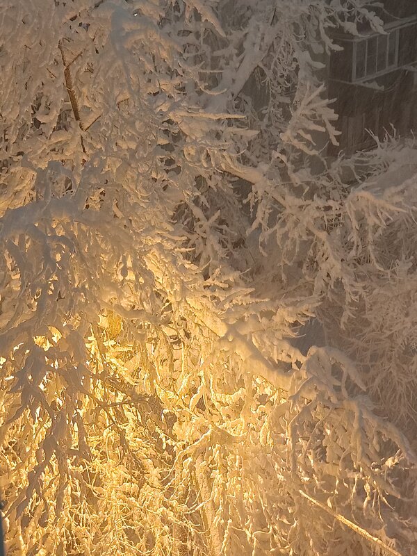 Такого снегопада давно не помнят здешние места... - tatyana 