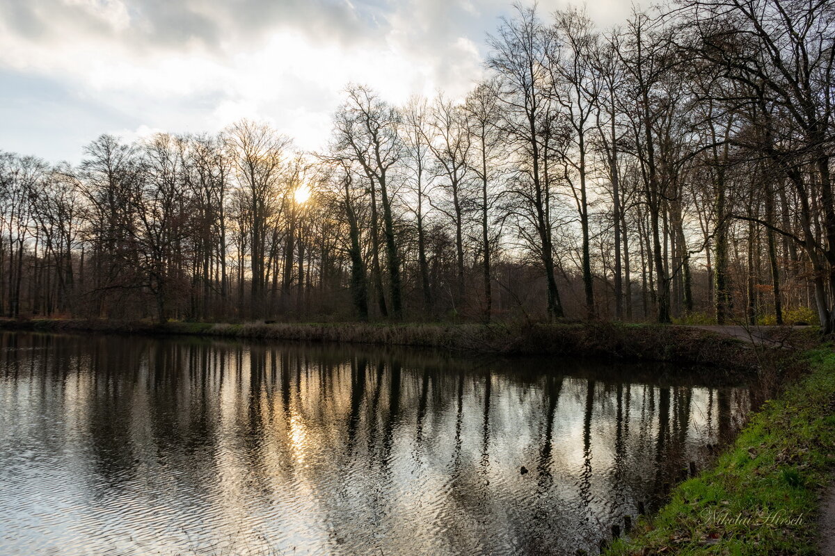 Первые дни января... - Николай Гирш