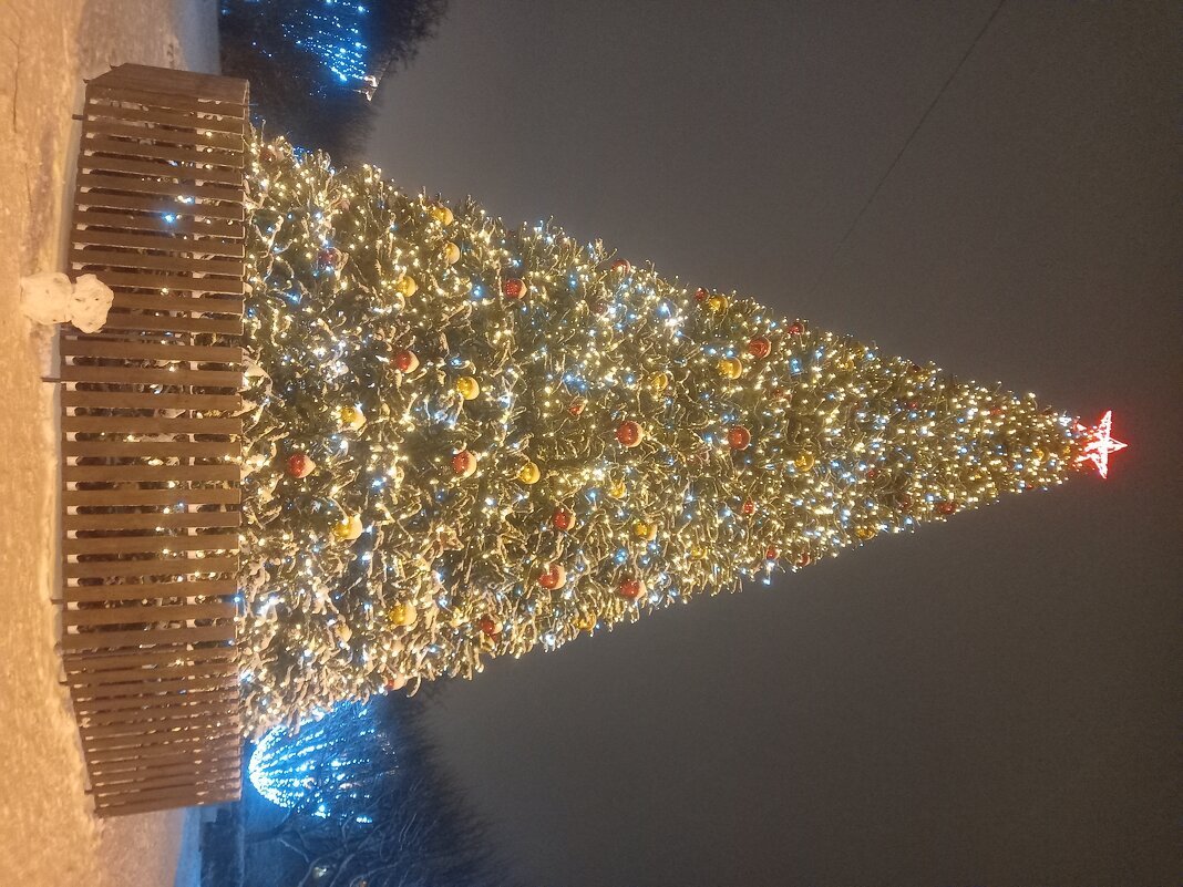 Ёлка - Сапсан 