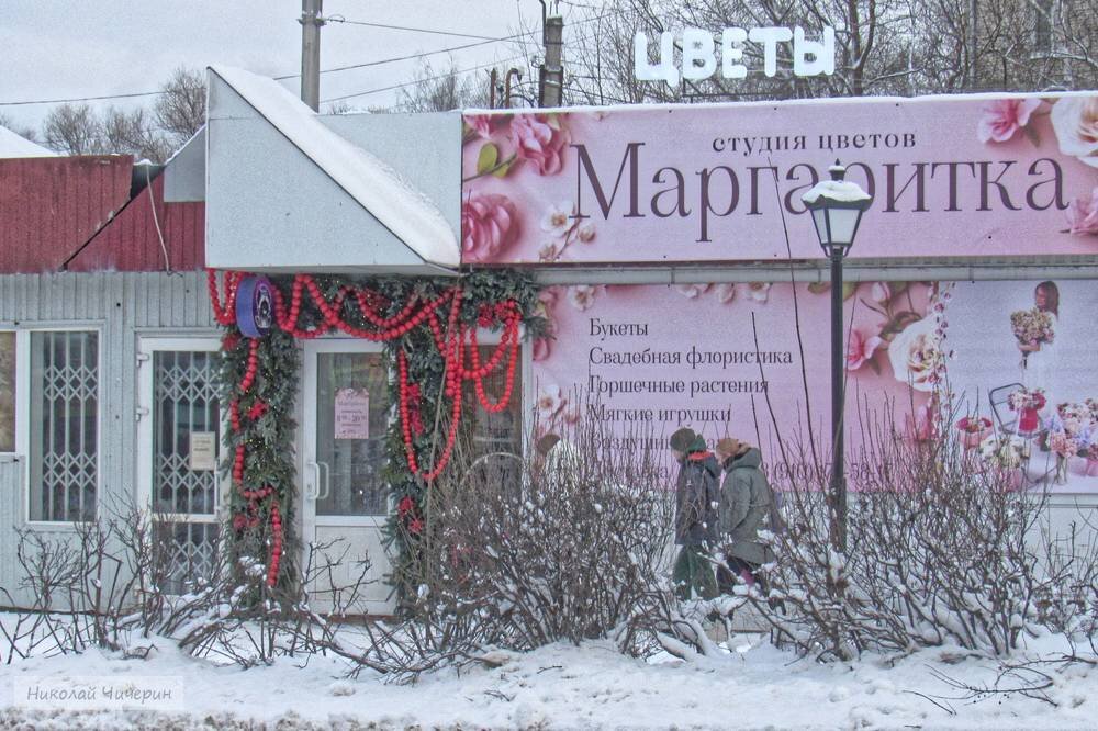 Город Петушки, новогодние - Николай Чичерин