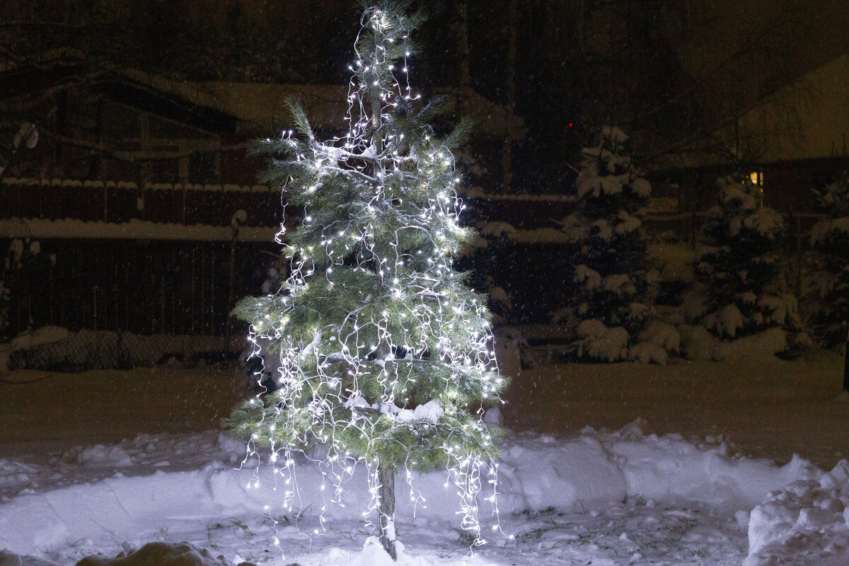 Перед новым годом - Вадим Бакка Перед новым годом - Вадим Бакка