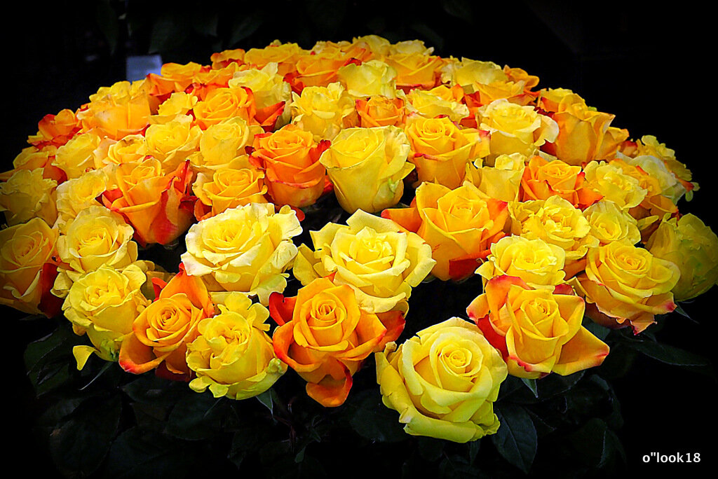 они на радость нам даны - Олег Лукьянов